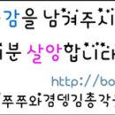 혀니유통
