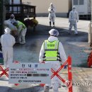 새서울농장 이미지