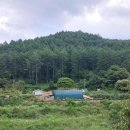 삼헌식당 이미지