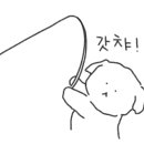 참한횟집