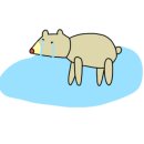 군산타이 네이버블로그