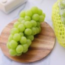 서진농장2 이미지