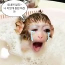 92푸드 | 이만큼 매력있는 92년생은 없어요