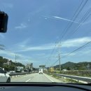 오토바른정비 | [가평 여행] 남이섬 백패킹, 트레킹 온 아일랜드 1박 2일 참여 후기!