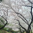 수봉궁도장 이미지