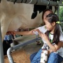 청계 한우 농장 이미지