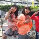 노곡초교 이미지