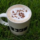 배영숙 산야초밥상 이미지