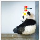 박가위헤어 이미지