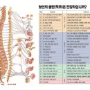신비의료기 이미지