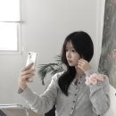 빛은 껍질 심장은 껍데기