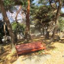 동성공원 이미지