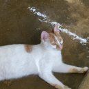 만복민박 이미지