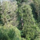 블루라군 이미지