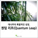 성환삼육영어지역아동센터 이미지