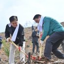 희망의 나무 이미지