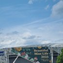 연정가든 | 뷰티민트페스티벌 2025 후기 (뷰민라) /연정, 데이먼스 이어,로이킴