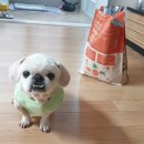 (주)닥터시니어