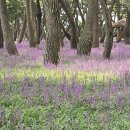 송림숲화장실 이미지