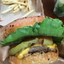 케이프유니스 이미지