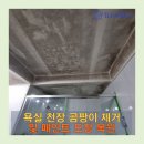 우만동 현대아파트 진입로 | 팔달구 우만동 욕실 천장 곰팡이 제거 및 페인트 도장 작업