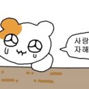 럭키세븐