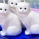 에이드컴