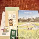 애월화실 | [리뷰] 여름 안에서 (부제 : 사심 가득, 내가 사랑한 바다)