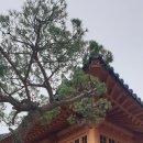 희온포레