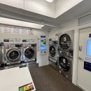 빨래방 | 빨래방 창업 후기 - 3개월차 (홍보에 올인했던 세 달)