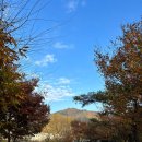 초록슈피아 캠핑장 이미지