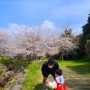 대왕수천 이미지