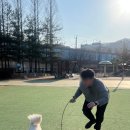 볶이집 이미지