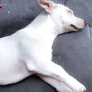 멈무아지트 이미지