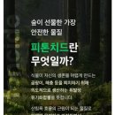 펫케아 이미지