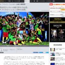 【일본칼럼】 아프리카 네이션스컵의 몰락 이미지