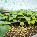 봄뜰에농장 이미지