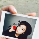 수연 이미지