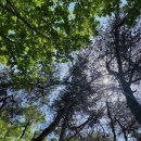 내곡동636 | [초례산] 나불지에서 초례봉까지 등산 후기 소요시간 코스 주차정보