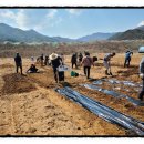 대감삼통마을 이미지