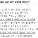백탑학원 - 16211 | [송도국어] 2025년 9월 고2 국어모의고사. 문학영역. 고전가사 이상수 '금강별곡', 고전수필 채제공...