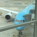 881 | [대한항공] 상하이 여행 항공권 대한항공 KE881 KE888 기내식&amp;좌석 후기