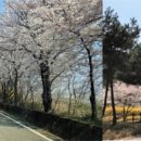 국립자연휴양림관리소 칠보산 자연휴양림 이미지