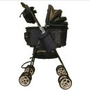 천사 애견 이미지