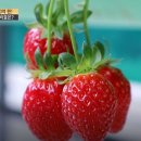 갑부네 이미지