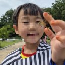 마이도시 세종법제처 | ​2026 서울 여름방학, 아이와 함께 즐기는 시원한 문화·생태 피서지 총정리