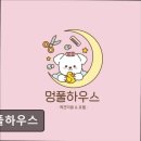 애견풀하우스 | (평택, 강아지, 고양이, 애견미용, 추천!) 멍풀하우스 멍풀하우스, 반려동물 맞춤 케어