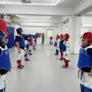 석사태권도체육관 이미지