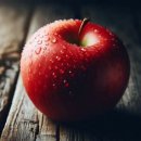 묘한 하루 이미지