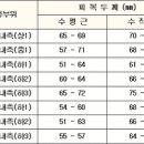 콘크리트 균열시공 관리 이미지